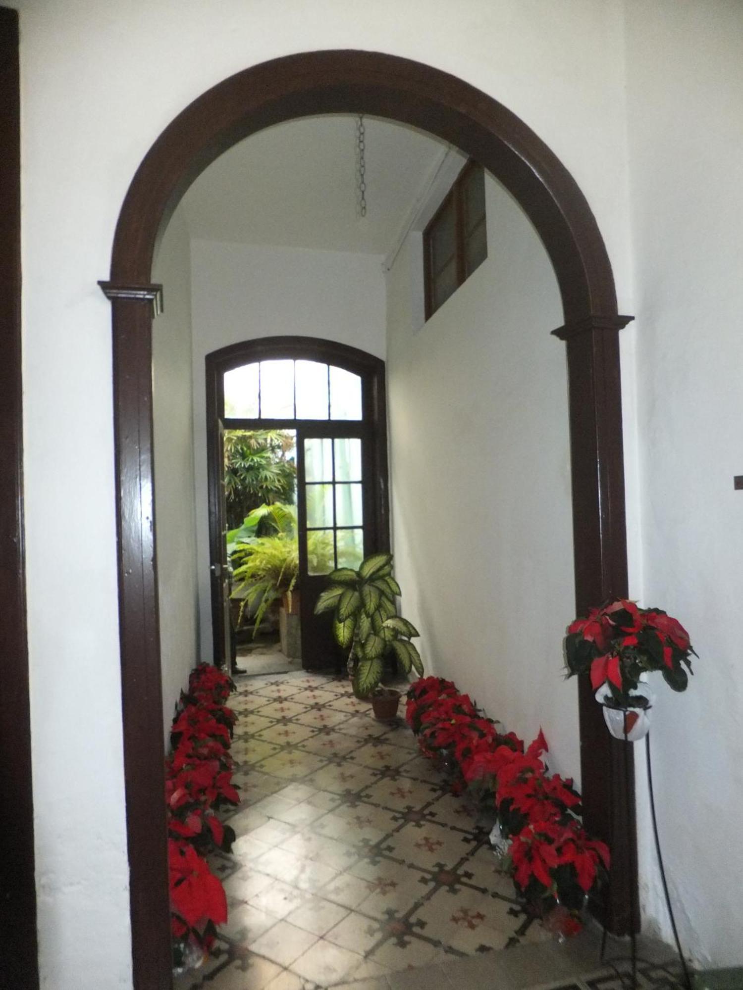 Hotel Casa Colonial Cejas à Santa-Cruz de Ténérife Extérieur photo