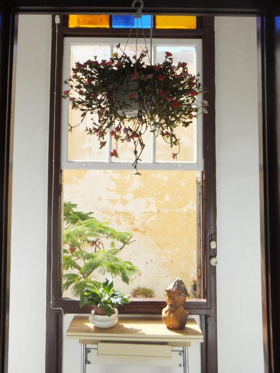 Hotel Casa Colonial Cejas à Santa-Cruz de Ténérife Extérieur photo