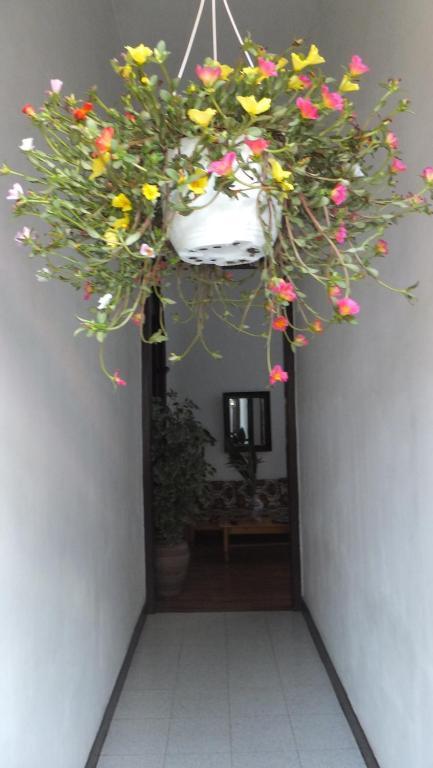 Hotel Casa Colonial Cejas à Santa-Cruz de Ténérife Extérieur photo