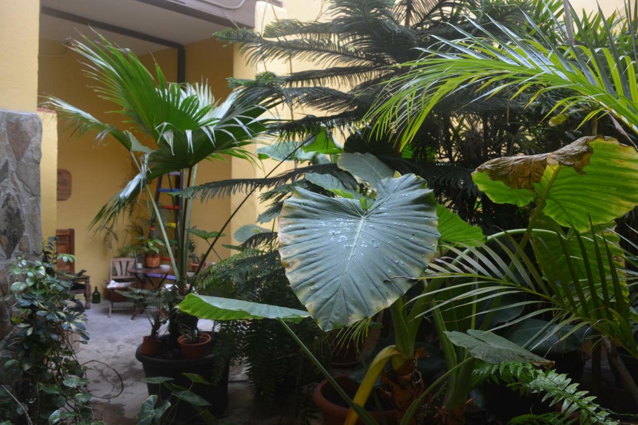 Hotel Casa Colonial Cejas à Santa-Cruz de Ténérife Extérieur photo